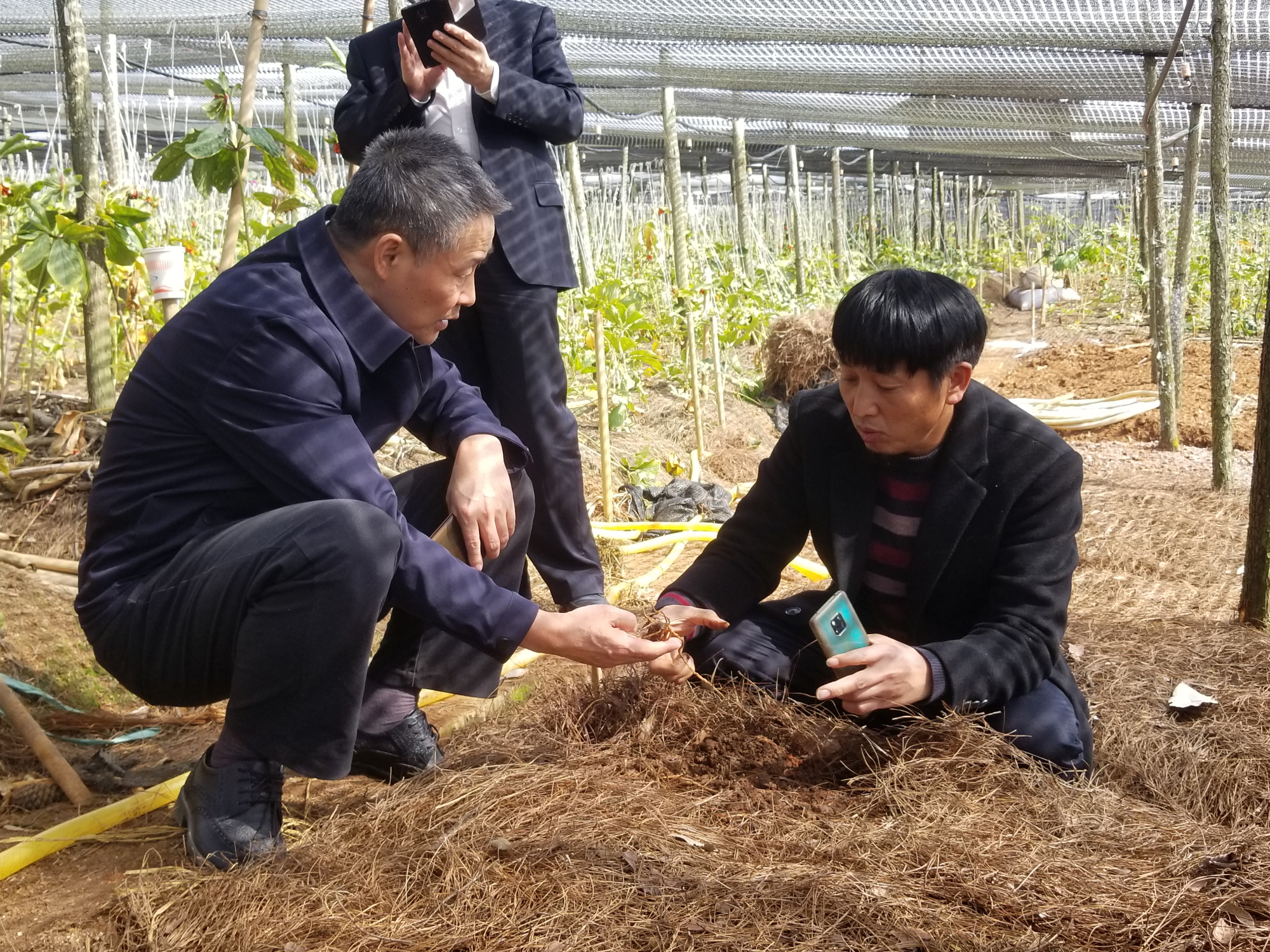 18新利luck·(中国)-官方网站